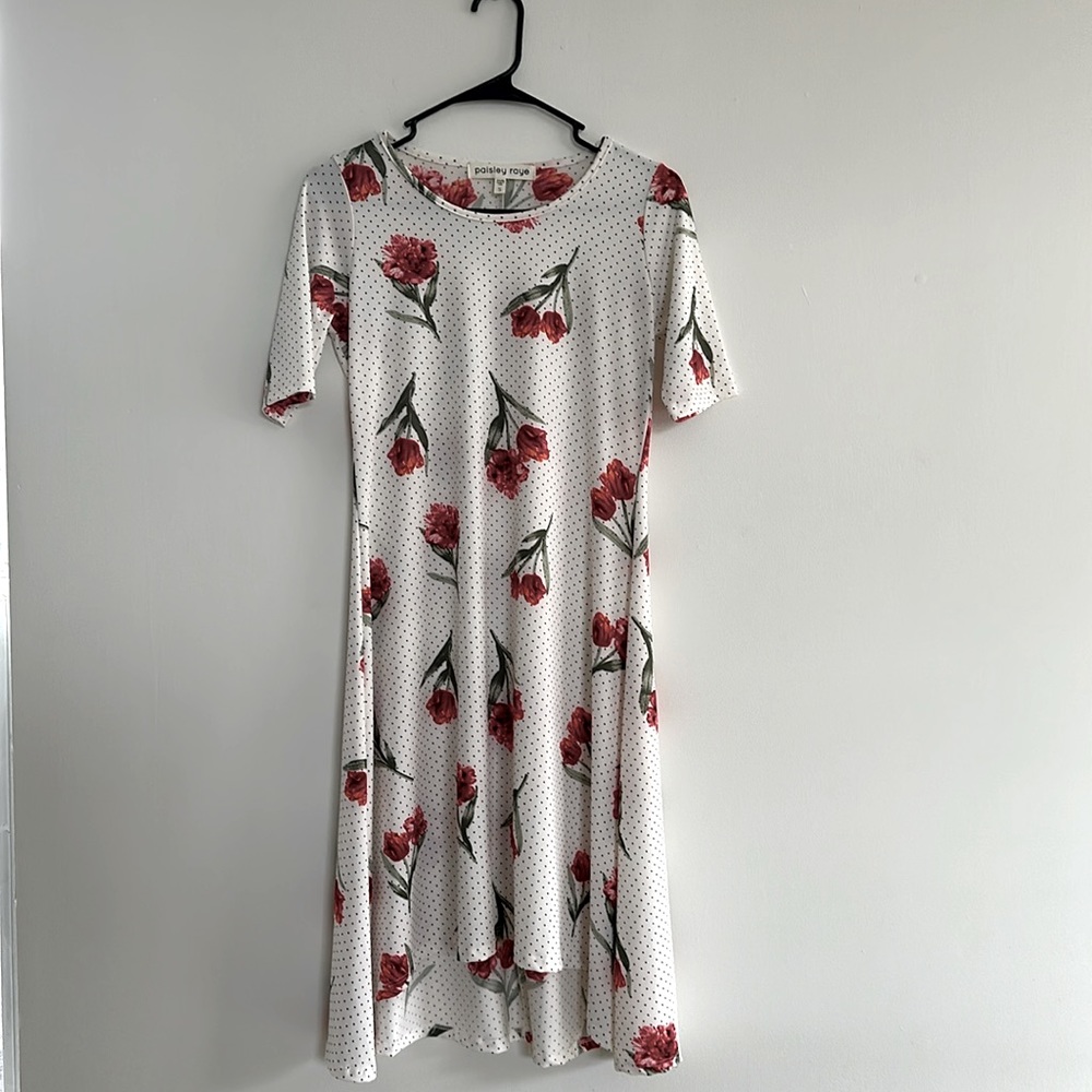 Paisley Raye Dress